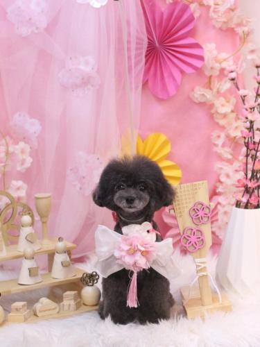 20250326NEROちゃん